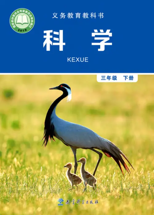 图片[6]-教科版小学科学【电子课本】-黑马库