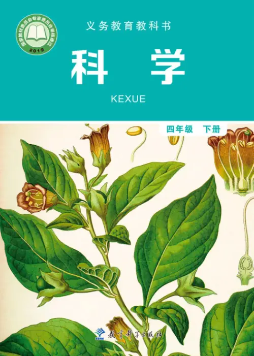 图片[8]-教科版小学科学【电子课本】-黑马库