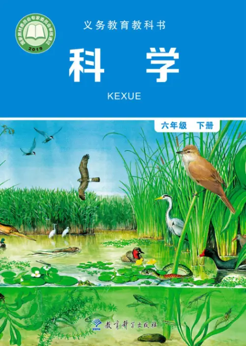 图片[12]-教科版小学科学【电子课本】-黑马库