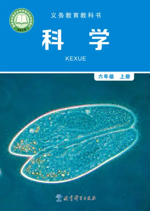 图片[11]-教科版小学科学【电子课本】-黑马库