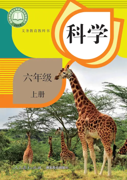 图片[11]-人教版小学科学【电子课本】-黑马库