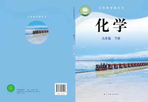 图片[11]-全部版本 • 初中化学【电子课本】-黑马库
